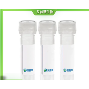 CABP5抗体；CABP5 antibody 艾普蒂生物        