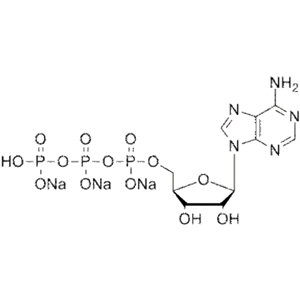核苷酸,ATP