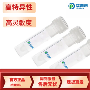 CEP290抗体；CEP290 antibody 艾普蒂生物       