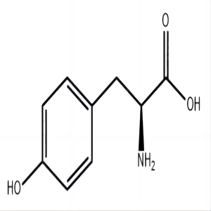 L-酪氨酸,L-Tyrosine