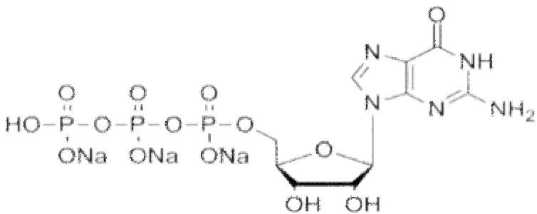 鸟苷酸三钠溶液,GTP