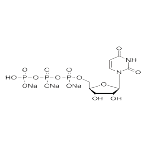 尿苷酸三钠,UTP