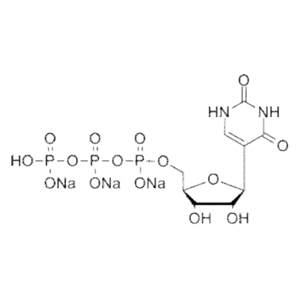 假尿苷三磷酸钠盐溶液pUTP
