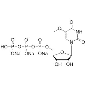5-甲氧基尿苷5-OMe-UTP