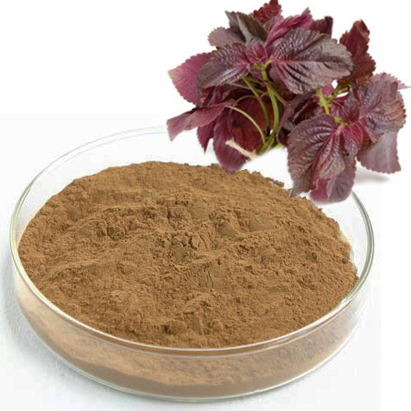 紫苏籽提取物,Perilla seed Extract