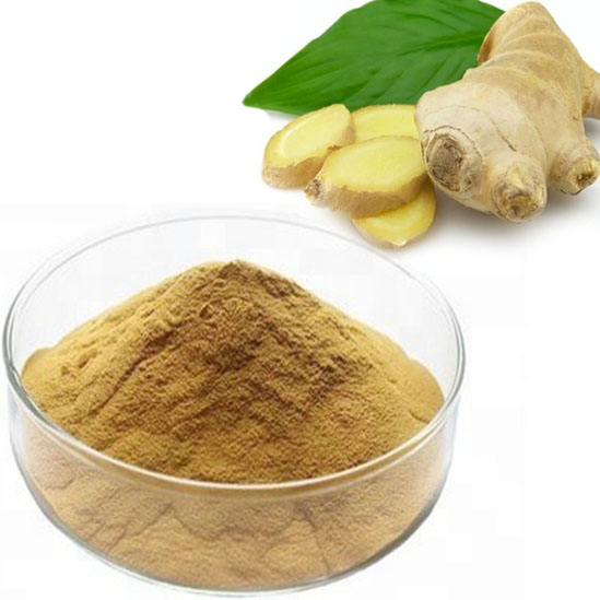 生姜提取物,Ginger Extract