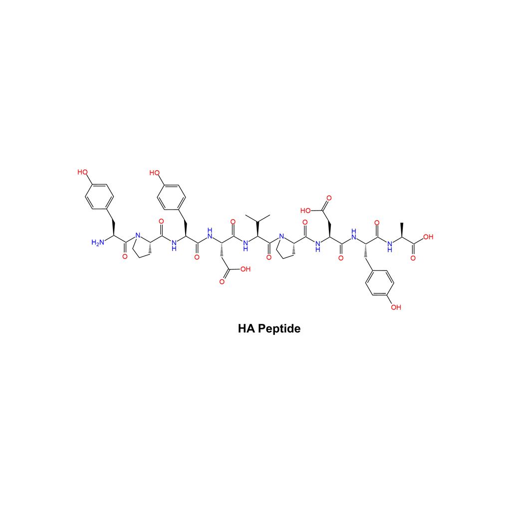 HA Peptide,HA Peptide