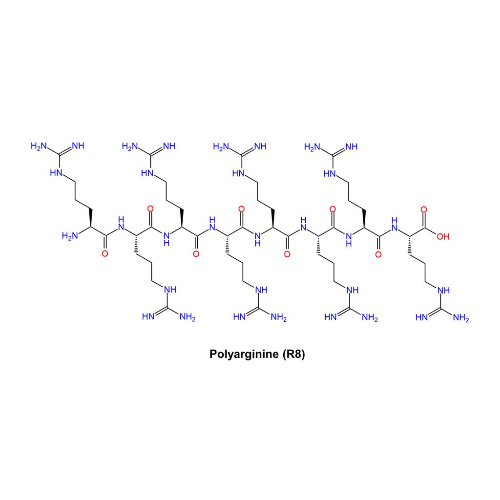 聚精氨酸（R8）,Polyarginine (R8)