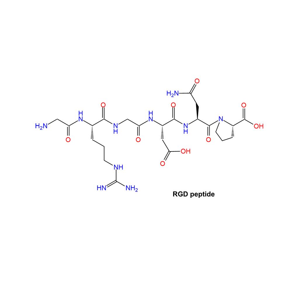 RGD peptide,RGD peptide