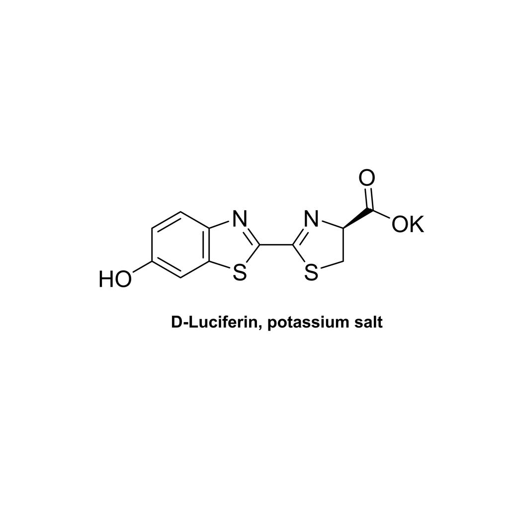 熒光素鉀鹽,D-Luciferin, potassium salt