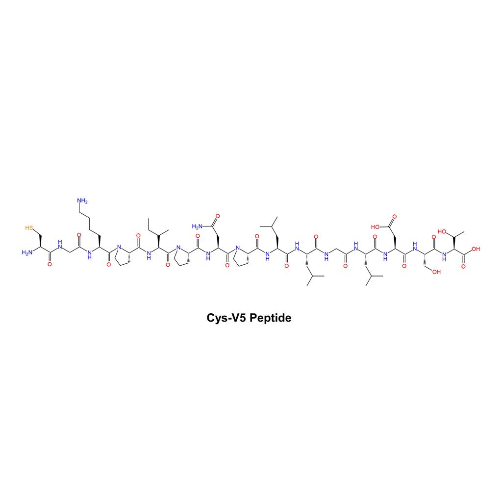 Cys-V5 Peptide?,Cys-V5 Peptide?