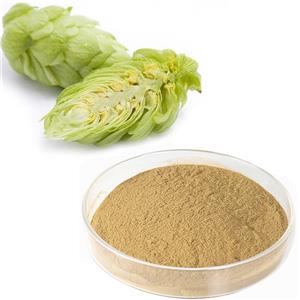 啤酒花提取物,Hop Extract