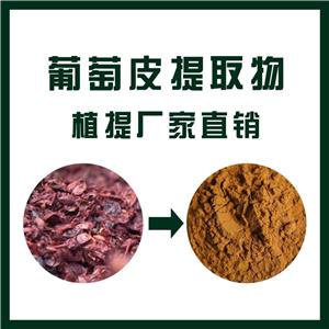 葡萄皮提取物,Grape skin Extract