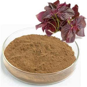 紫苏籽提取物,Perilla seed Extract