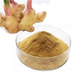 生姜提取物,Ginger Extract