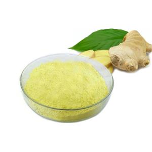 生姜提取物,Ginger Extract