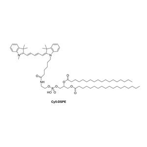 Cy5-DSPE,Cy5-DSPE