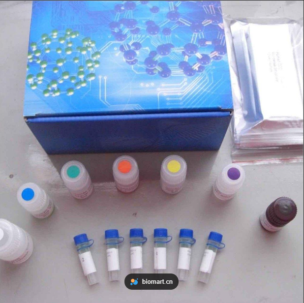 金黄地鼠低密度脂蛋白受体(LDLR)ELISA试剂盒
