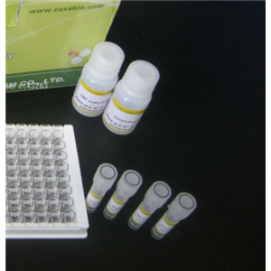 豚鼠白细胞介素1β(IL-1β)ELISA试剂盒