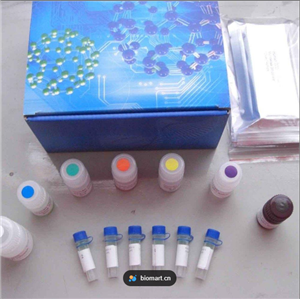 金黄地鼠肝细胞核因子α(HNF-α)ELISA试剂盒