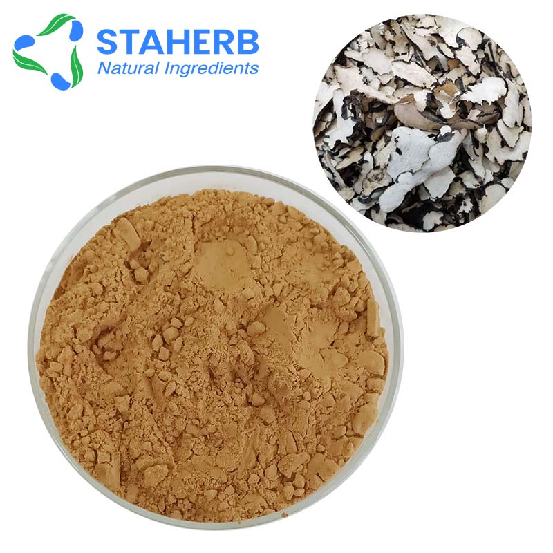 猪苓提取物,Polyporus Umbellatus Extract