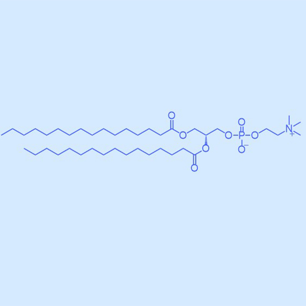 二棕櫚酰磷脂酰膽堿,DPPC