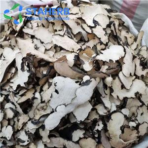 猪苓提取物,Polyporus Umbellatus Extract