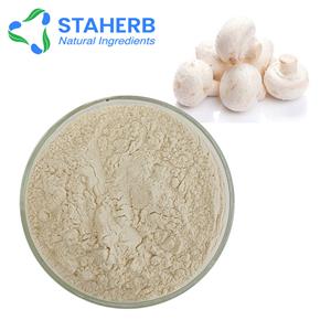 双孢菇提取物,Agricus bisporus Extract