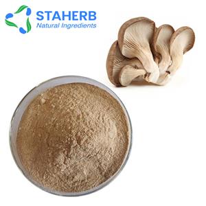 平菇提取物,Oyster  Mushroom Extract