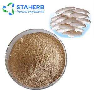 平菇提取物,Oyster  Mushroom Extract