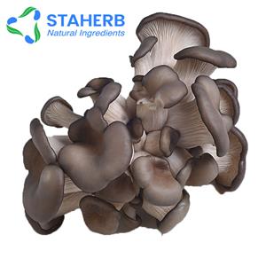 平菇提取物,Oyster  Mushroom Extract