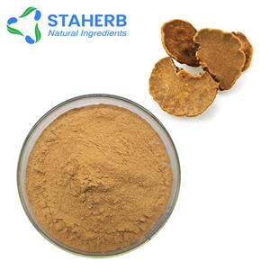 桑黄提取物,Mulberry yellow extract