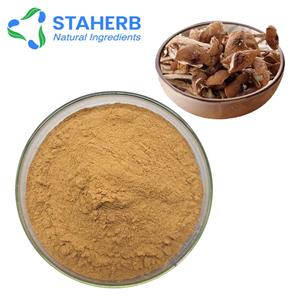 茶树菇提取物,Tea-tree Mushroom Extract