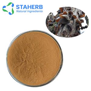 黑木耳提取物,Black Fungus Extract