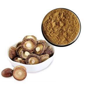 香菇提取物,Shiitake Mushroom extract