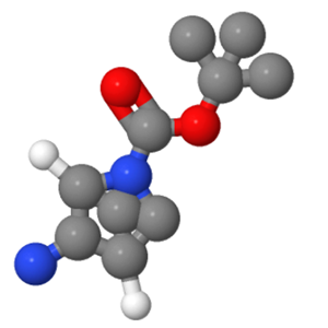 (1R,4R,5S)-5-氨基-2-氮杂双环[2.1.1]己烷-2-羧酸叔丁酯,2-Azabicyclo[2.1.1]hexane-2-carboxylic acid, 5-amino-, 1,1-dimethylethyl ester, (1R,4R,5S)-