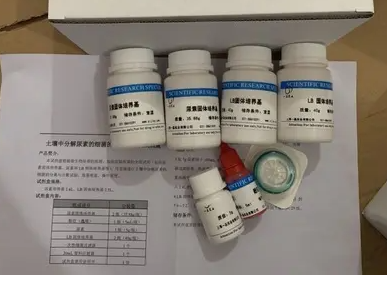 小鼠抑胃肽(GIP)ELISA试剂盒