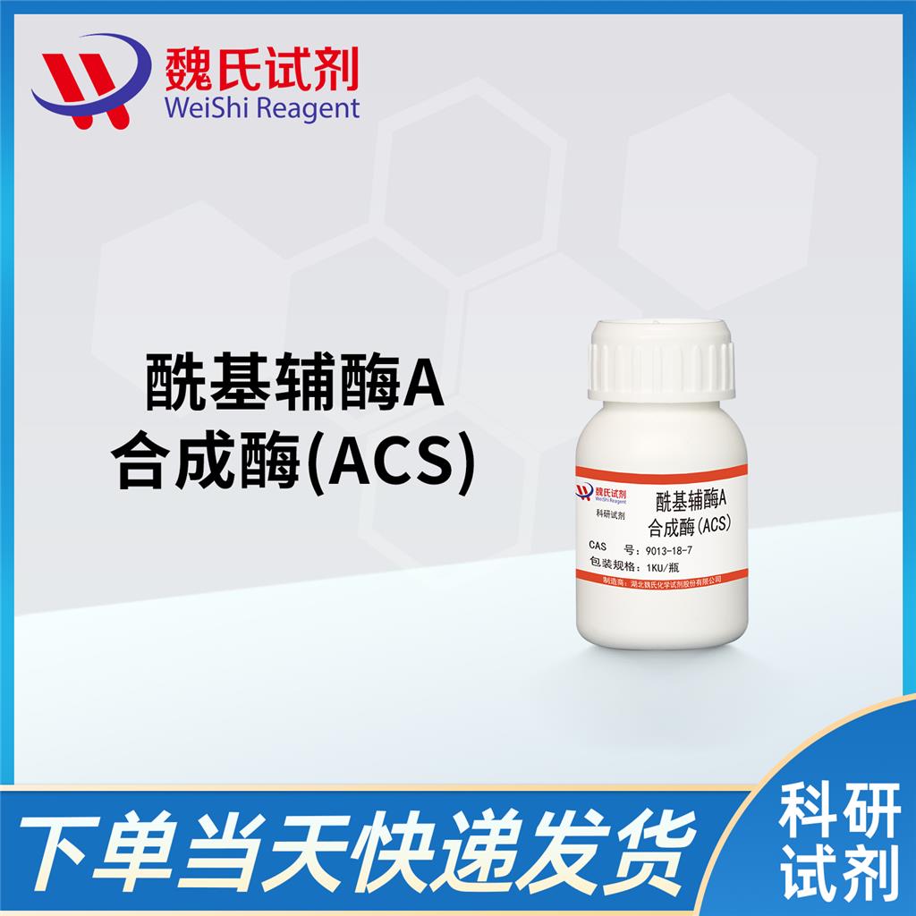 酰基辅酶A合成酶(ACS),Acyl-CoA synthetase