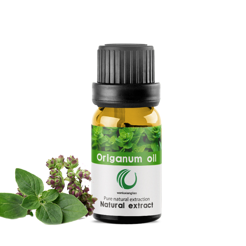 牛至油,Oregano oil