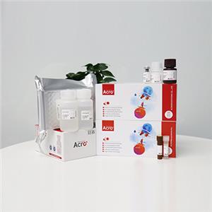 重組人IL-23A&IL-12B蛋白-ACROBiosystems百普賽斯