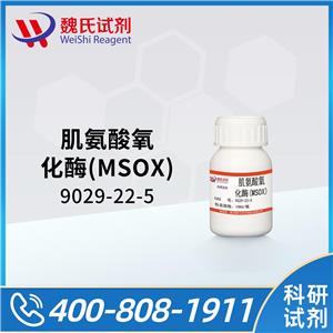 肌氨酸氧化酶(MSOX),SARCOSINE OXIDASE
