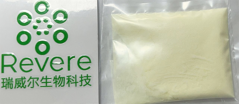 达托霉素,Daptomycin