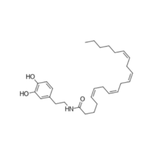 N-Arachidonoyldopamine