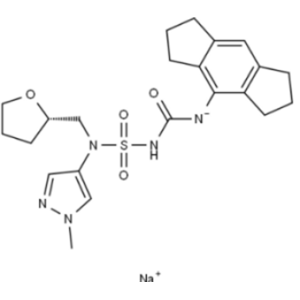 NT-0249