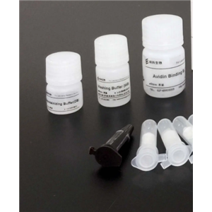 小鼠正五聚蛋白-3(PTX3)ELISA试剂盒