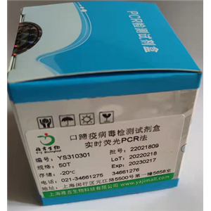 鱼白细胞介素10(IL-10)ELISA试剂盒