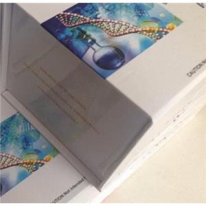 斑马鱼细胞色素C(Cyt-C)ELISA试剂盒