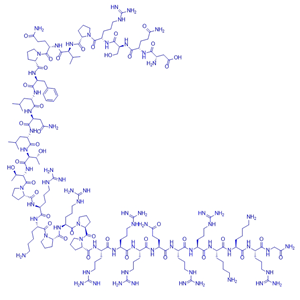 胞渗透性多肽抑制剂多肽L-JNKI-1/胞渗透性多肽抑制剂多肽L-JNKI-1