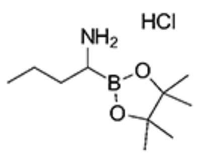 1-(4,4,5,5-Tetramethyl-1,3,2-dioxaborolan-2-yl)butylamine hydrochloride,1-(4,4,5,5-Tetramethyl-1,3,2-dioxaborolan-2-yl)butylamine hydrochloride