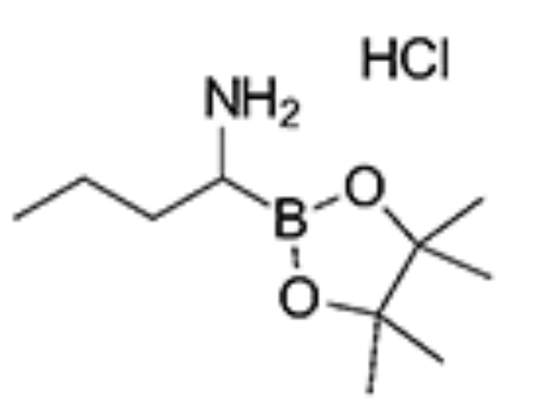 1-(4,4,5,5-Tetramethyl-1,3,2-dioxaborolan-2-yl)butylamine hydrochloride,1-(4,4,5,5-Tetramethyl-1,3,2-dioxaborolan-2-yl)butylamine hydrochloride